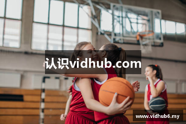 认识vidhub.com